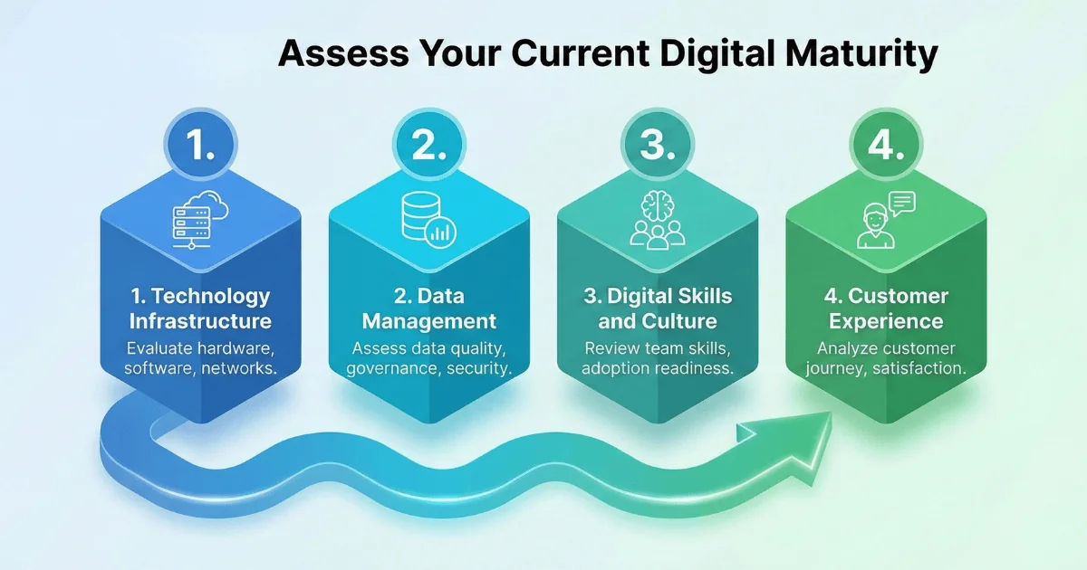 Digital Maturity Assessment