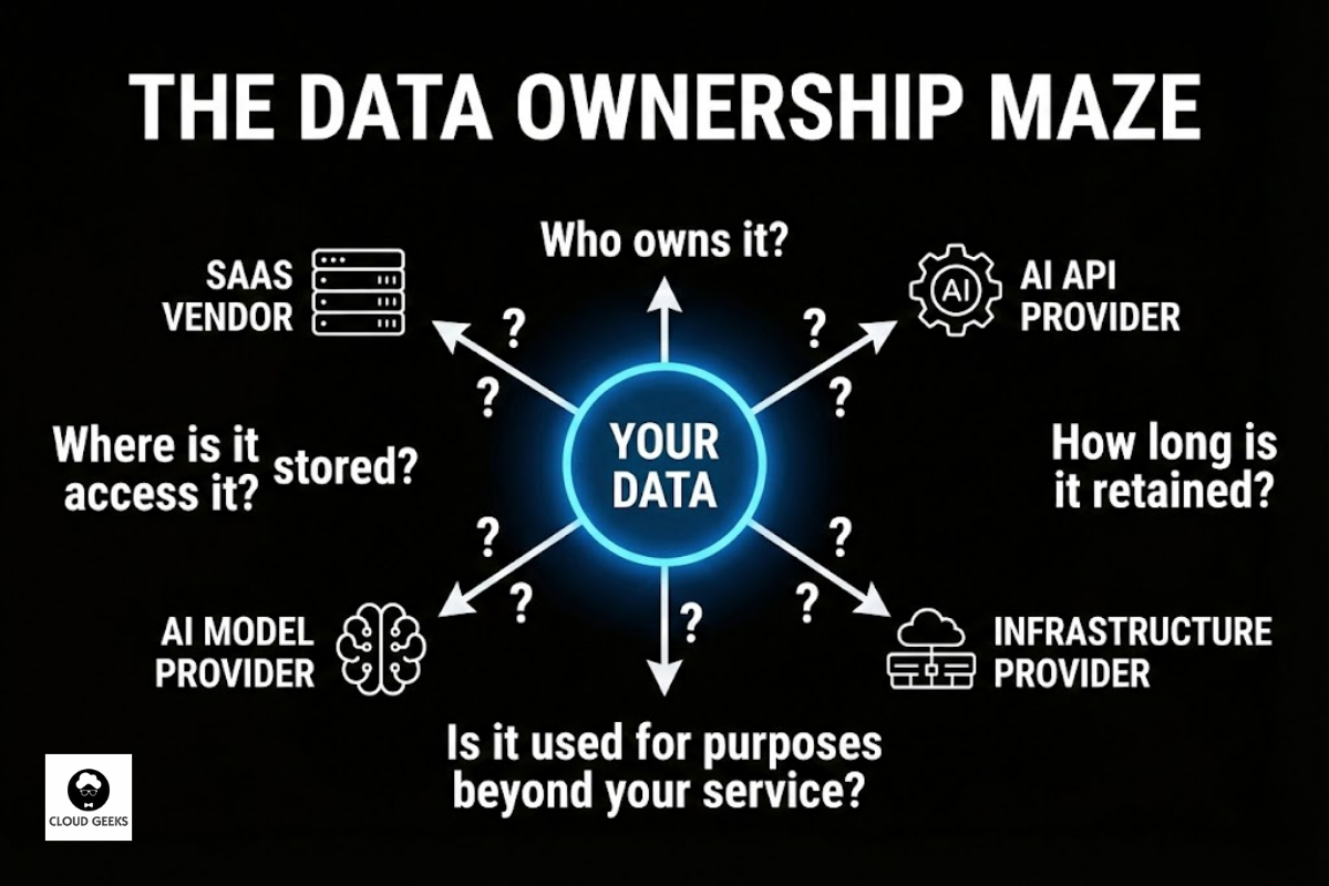 The Data Ownership Maze