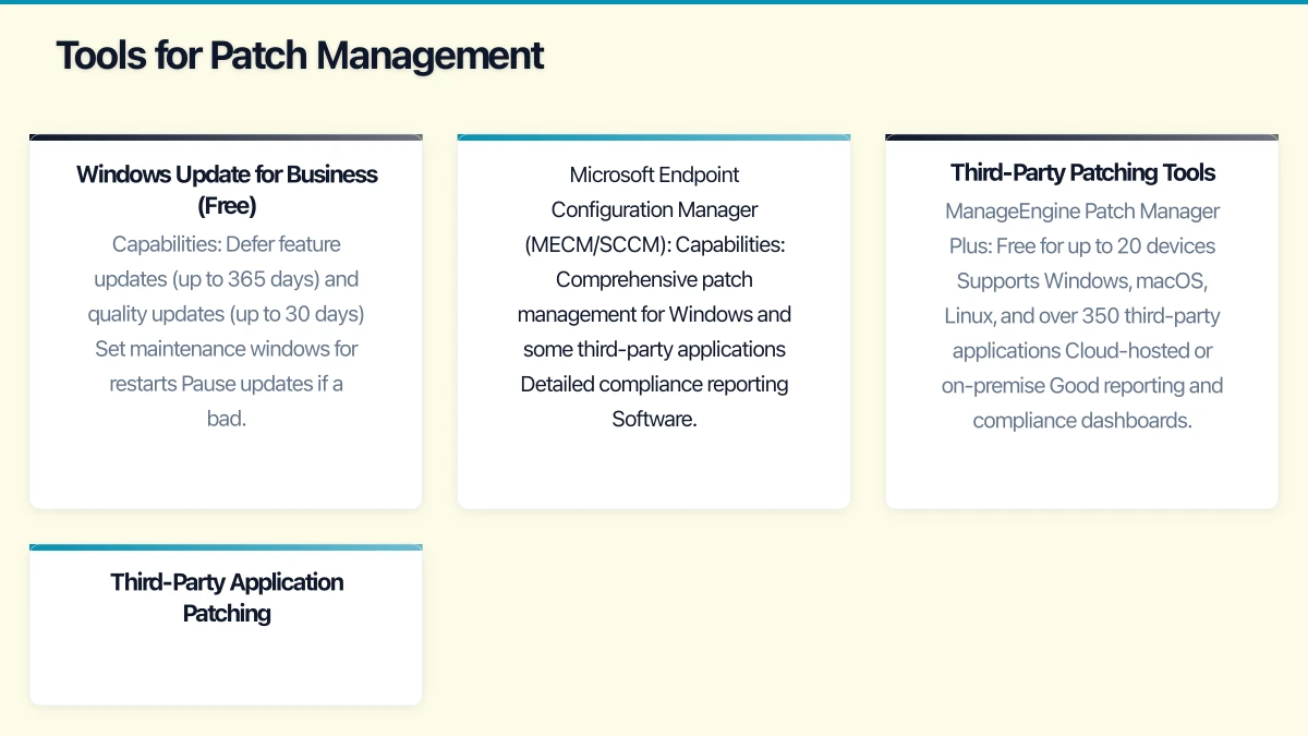 Building Your Patch Management Process Infographic